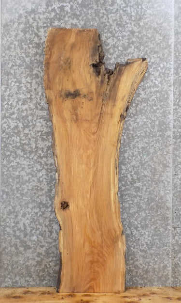 Reclaimed Locust Epoxy Project/Entry/Sofa Table Top Wood Slab 4004